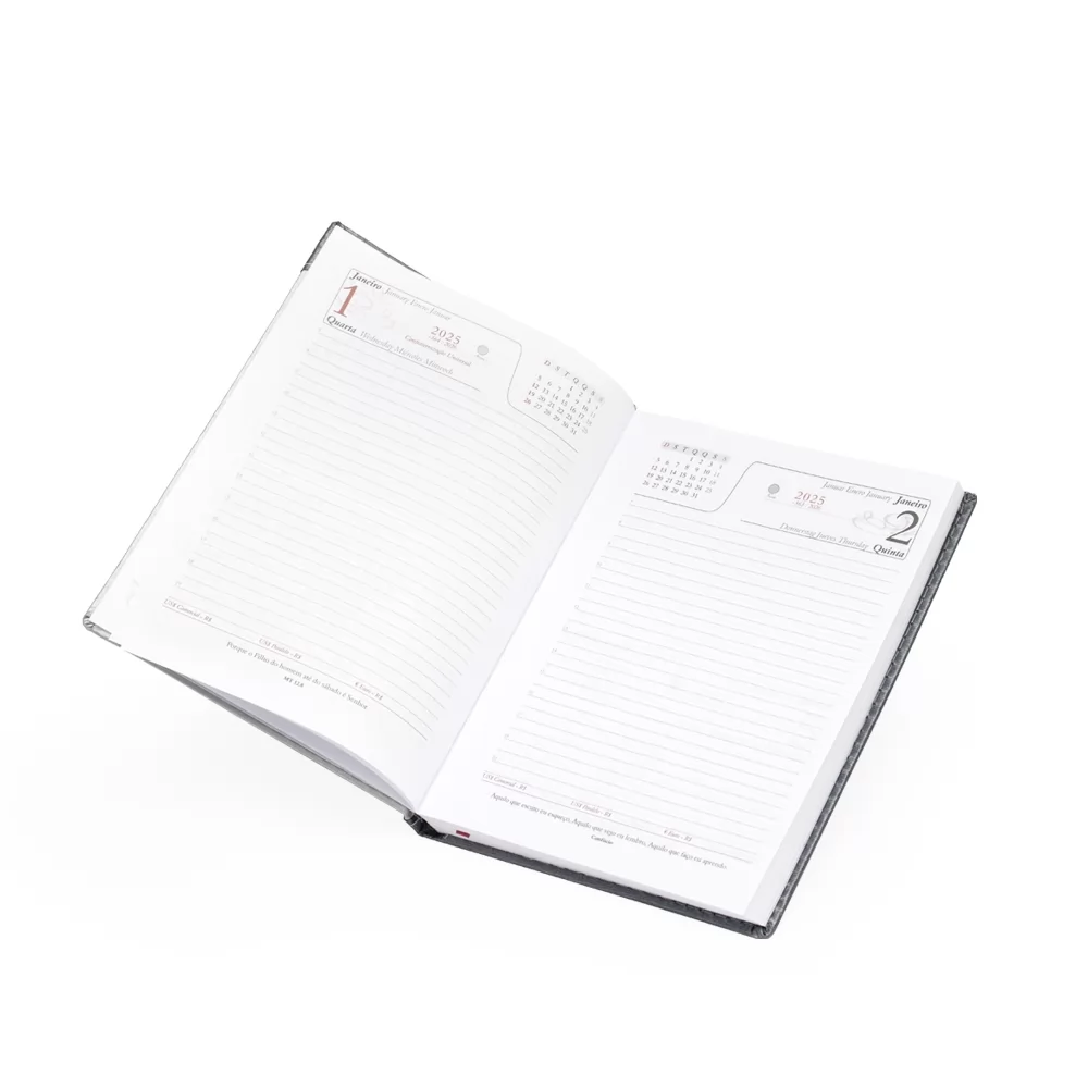 Agenda Diária 2025 Personalizada Agenda Diária 2025 Personalizada