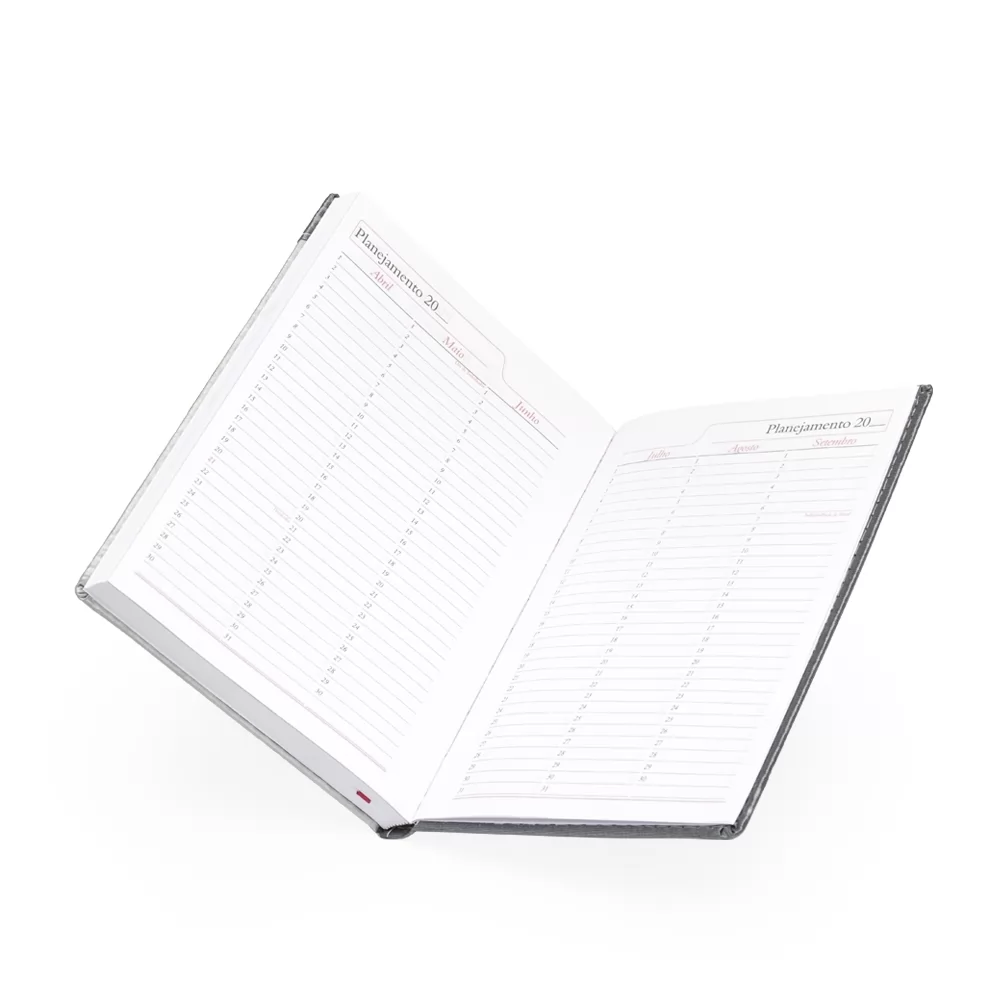Agenda Diária 2025 Personalizada Agenda Diária 2025 Personalizada
