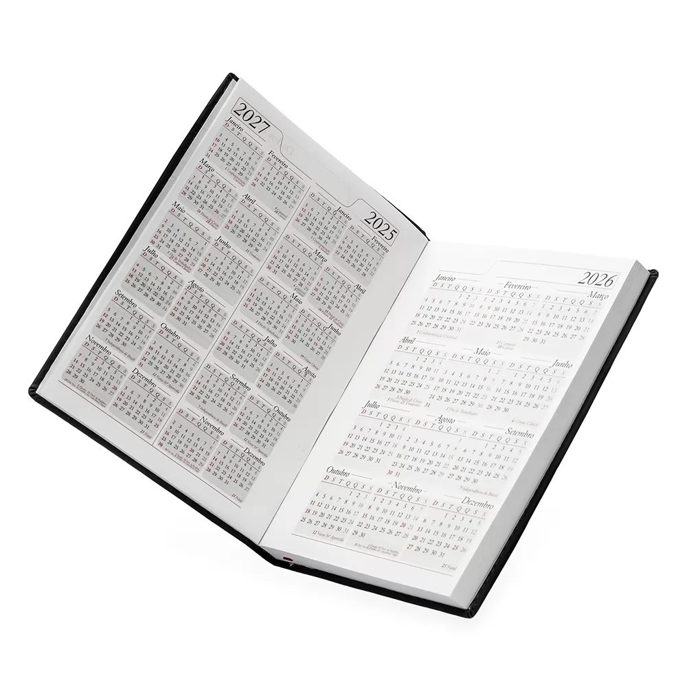 Agenda Diária 2025 Personalizada