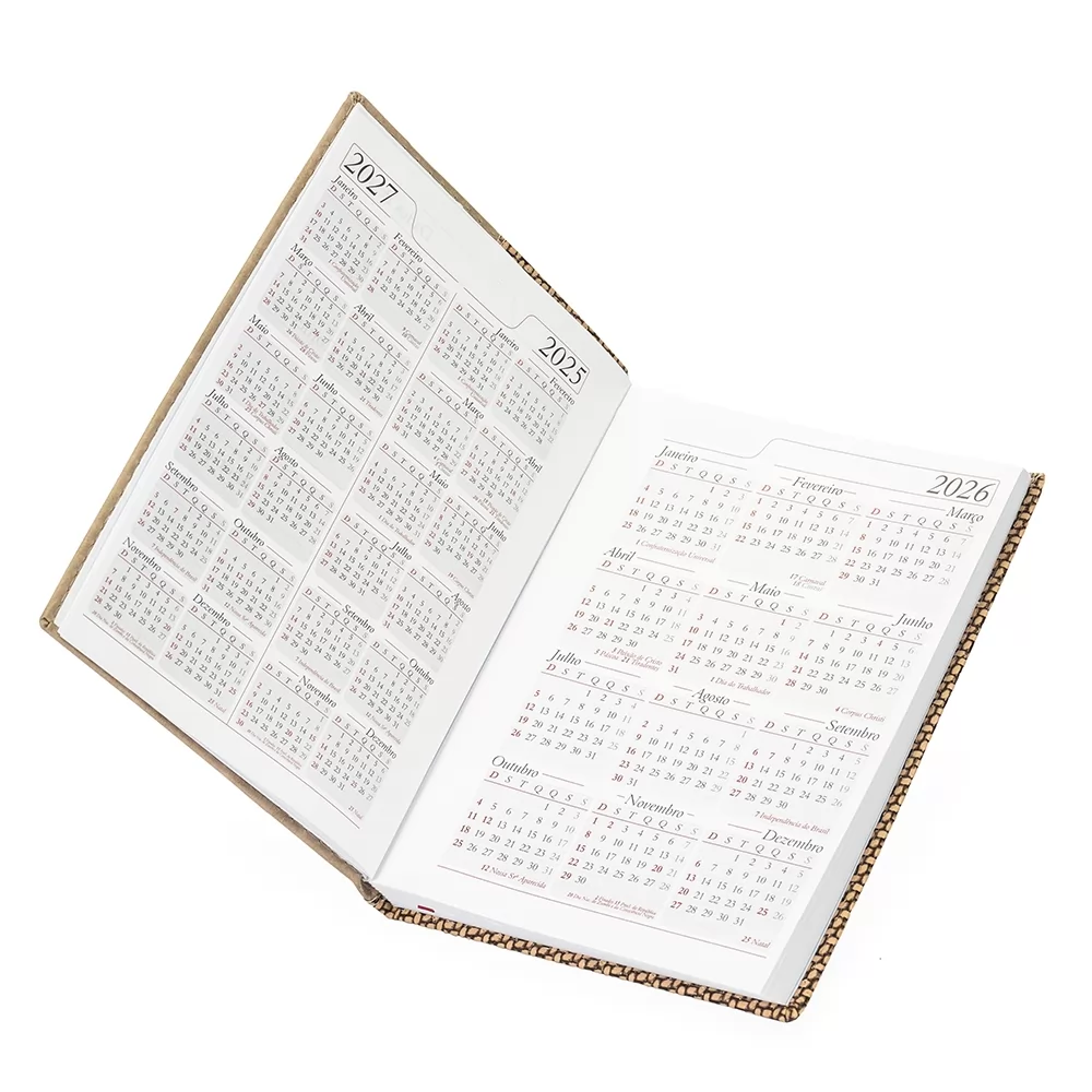 Agenda Diária 2026 Personalizada