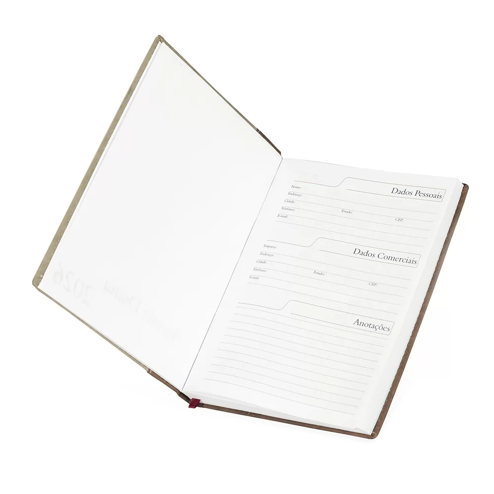 Agenda Diária 2026 Personalizada