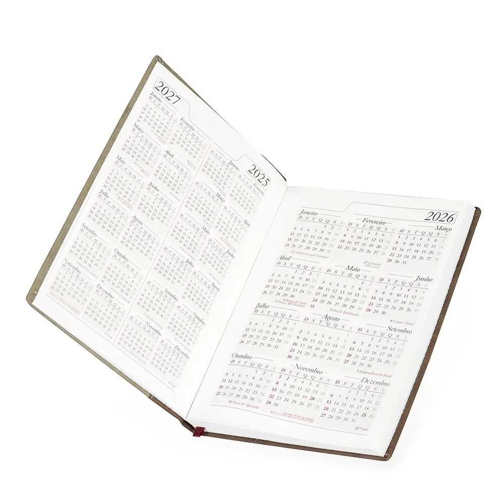 Agenda Diária 2026 Personalizada