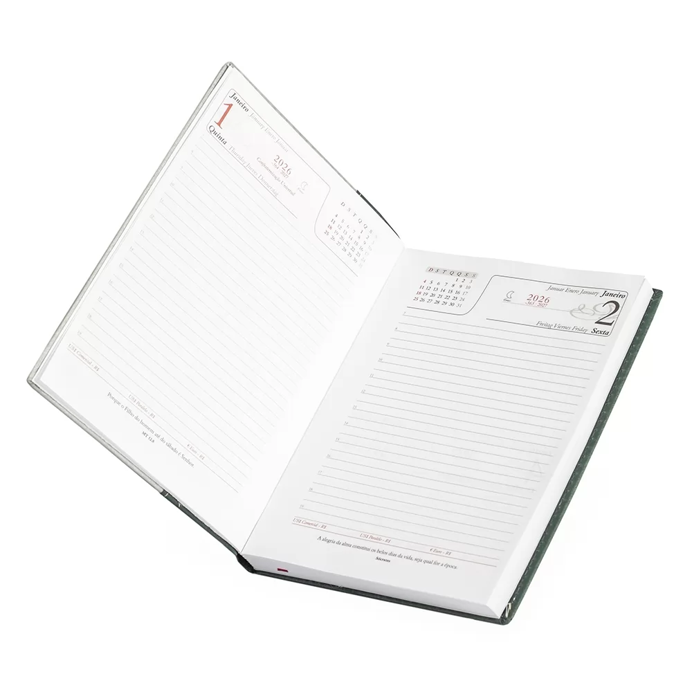 Agenda Diária 2026 Personalizada