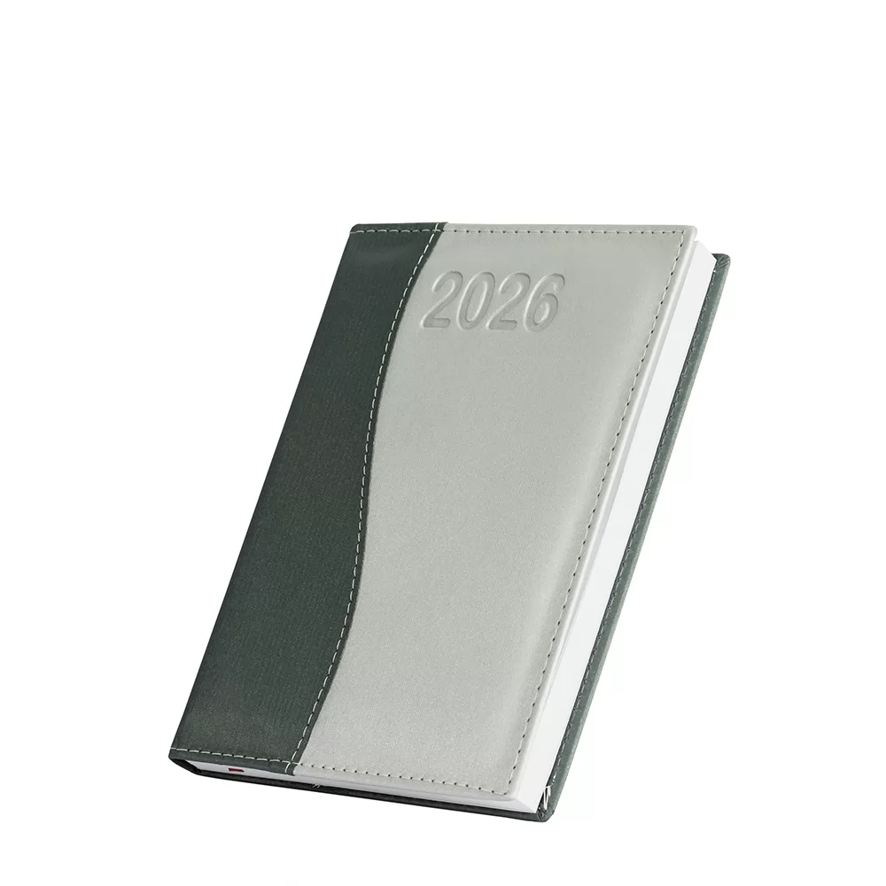 Agenda Diária 2026 Personalizada