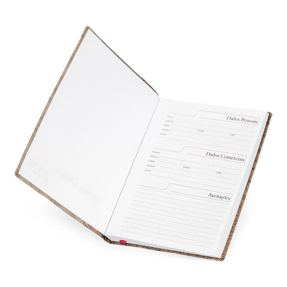 Agenda Diária 2026 Personalizada