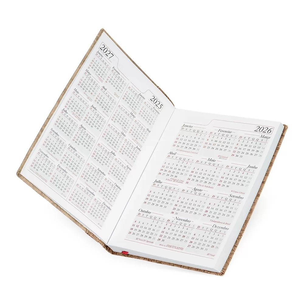 Agenda Diária 2026 Personalizada