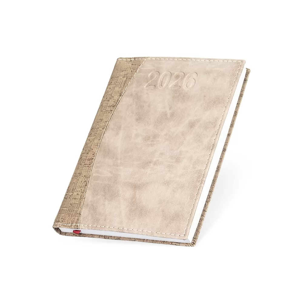 Agenda Diária 2026 Personalizada