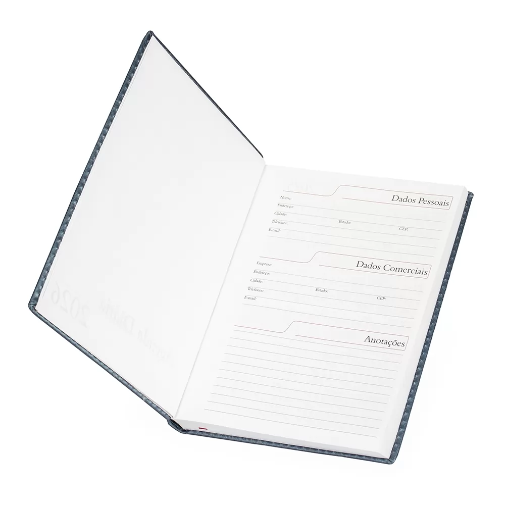 Agenda Diária 2026 Personalizada