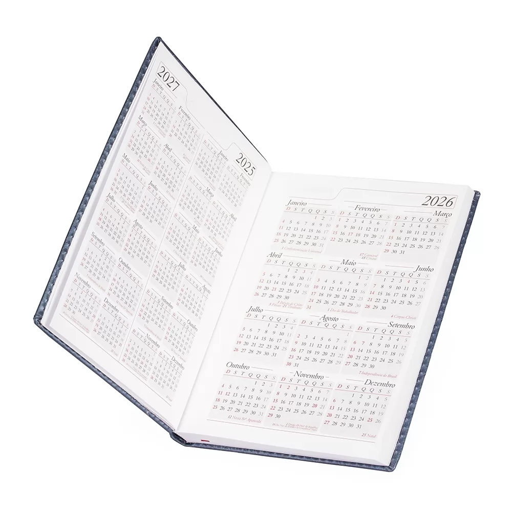 Agenda Diária 2026 Personalizada