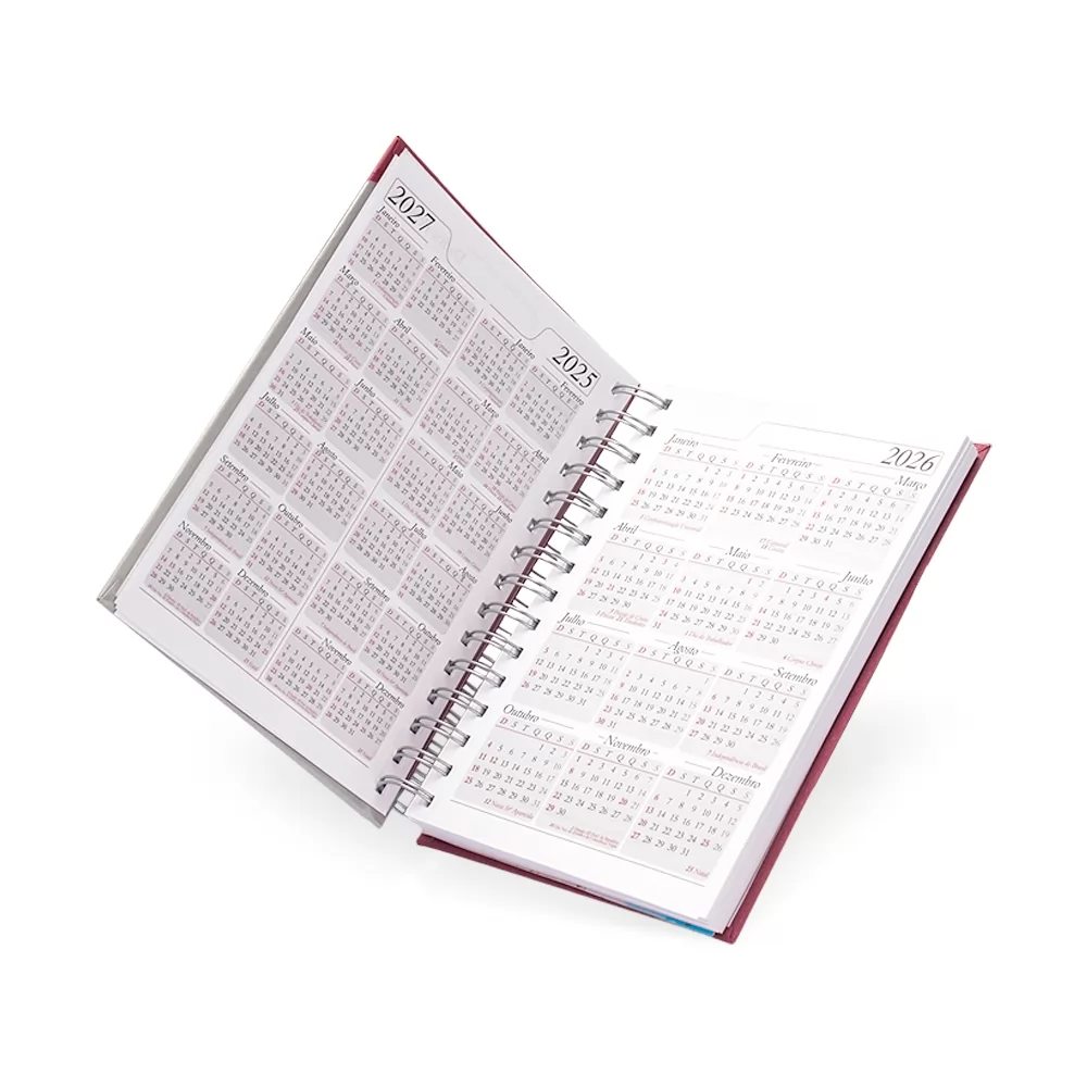 Agenda Diária 2026 Personalizada