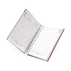 Agenda Diária 2026 Personalizada Agenda Diária 2026 Personalizada