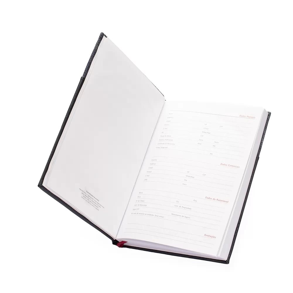 Agenda Diária 2026 Personalizada