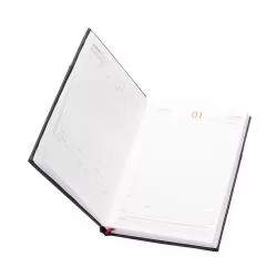 Agenda Diária 2026 Personalizada Agenda Diária 2026 Personalizada