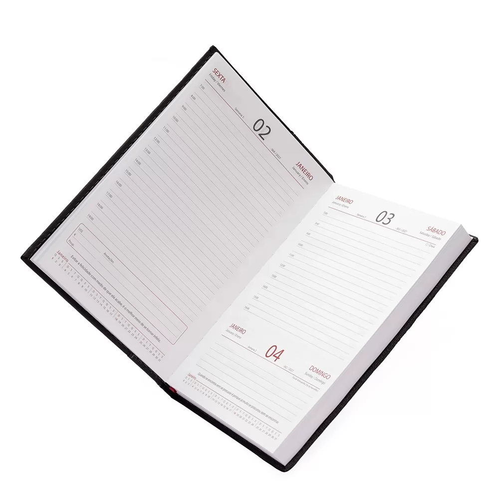 Agenda Diária 2026 Personalizada