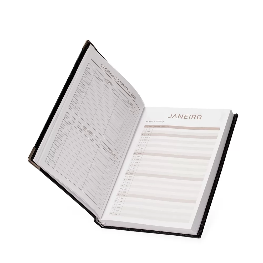 Agenda Diária 2026 Personalizada