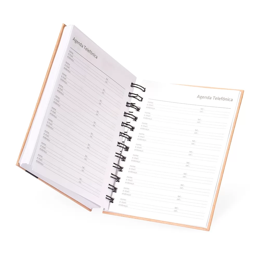 Agenda Diária 2026 Personalizada