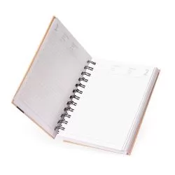 Agenda Diária 2026 Personalizada Agenda Diária 2026 Personalizada