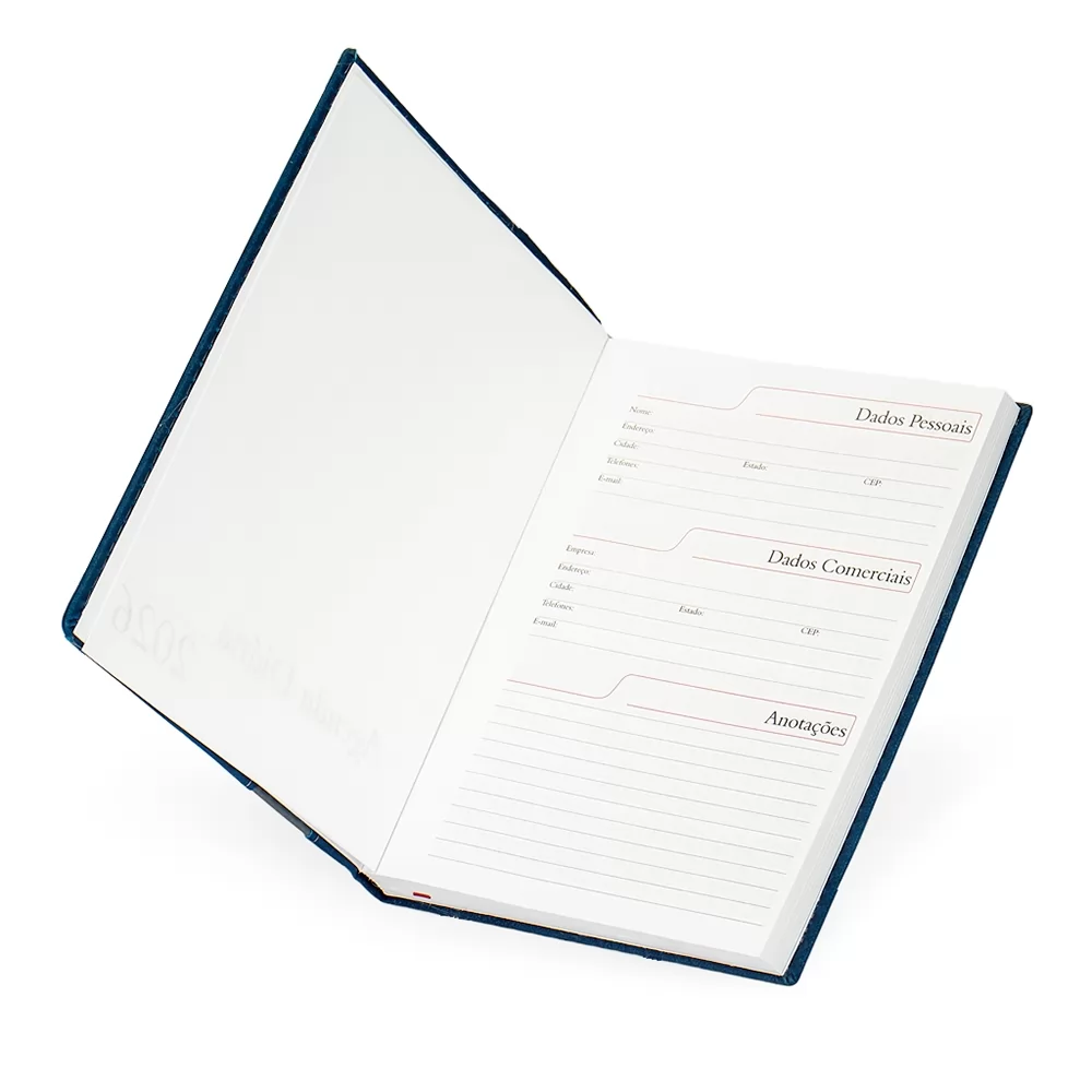 Agenda Diária 2026 Personalizada