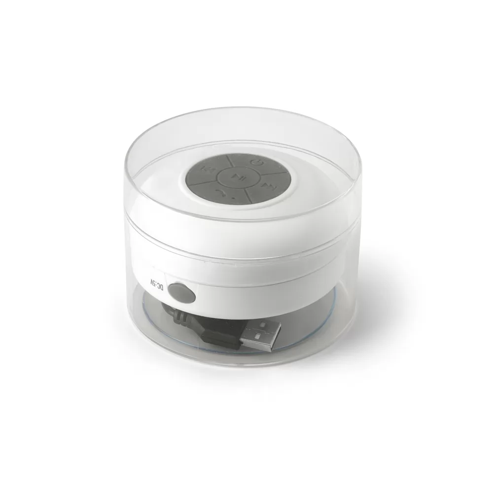 Caixa de som à prova de água em ABS Personalizada Caixa de som à prova de água em ABS Personalizada