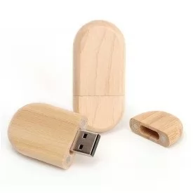 Pen Drive Oval Ecológico 8 GB Personalizado Pen Drive Oval Ecológico 8 GB Personalizado